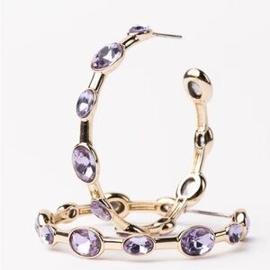 Michelle McDowell Allie Lilac Hoops